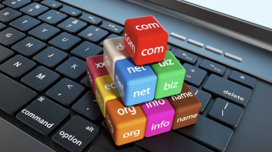 Domain Registration